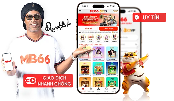 Giấy phép hoạt động